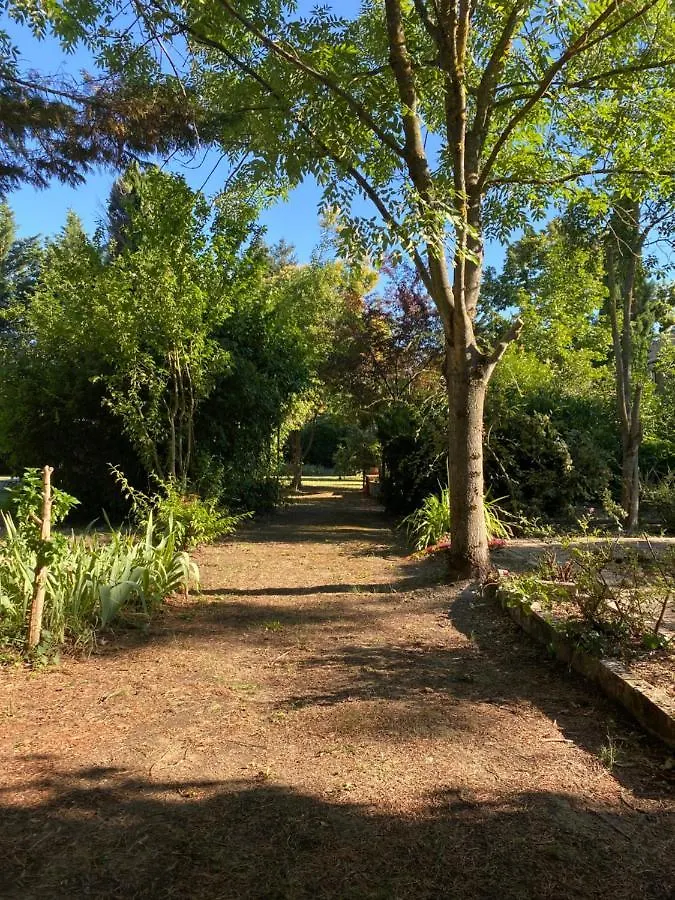 Bed & Breakfast Le Cocon De Curson Chambre D'Hotes Chanos-Curson