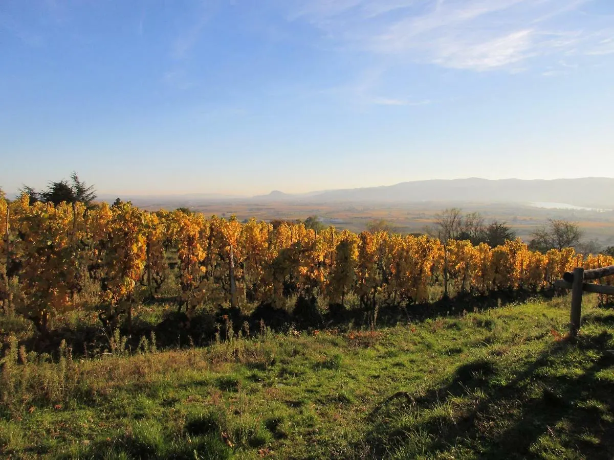 Le Cocon De Curson Chambre D'Hotes Chanos-Curson Bed & Breakfast